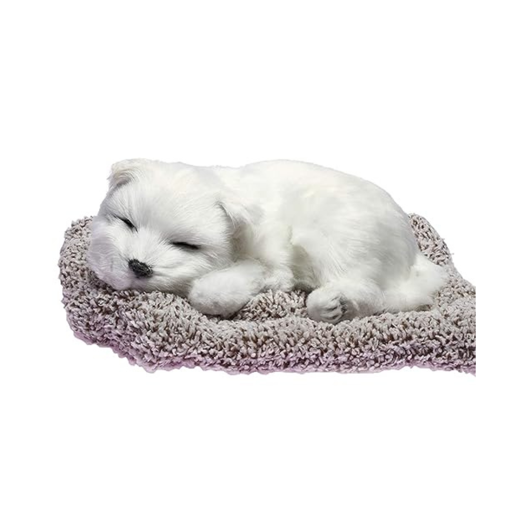 SLEEPING PET ( Cute Dog) White