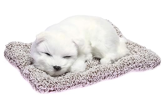 SLEEPING PET ( Cute Dog) White